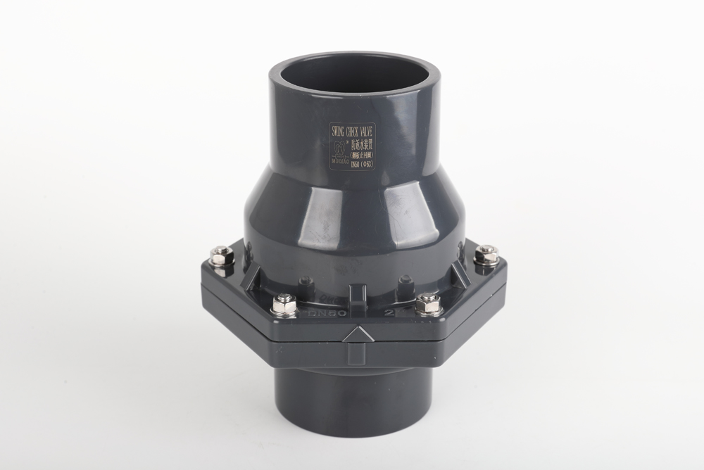 定远翻板式止回阀