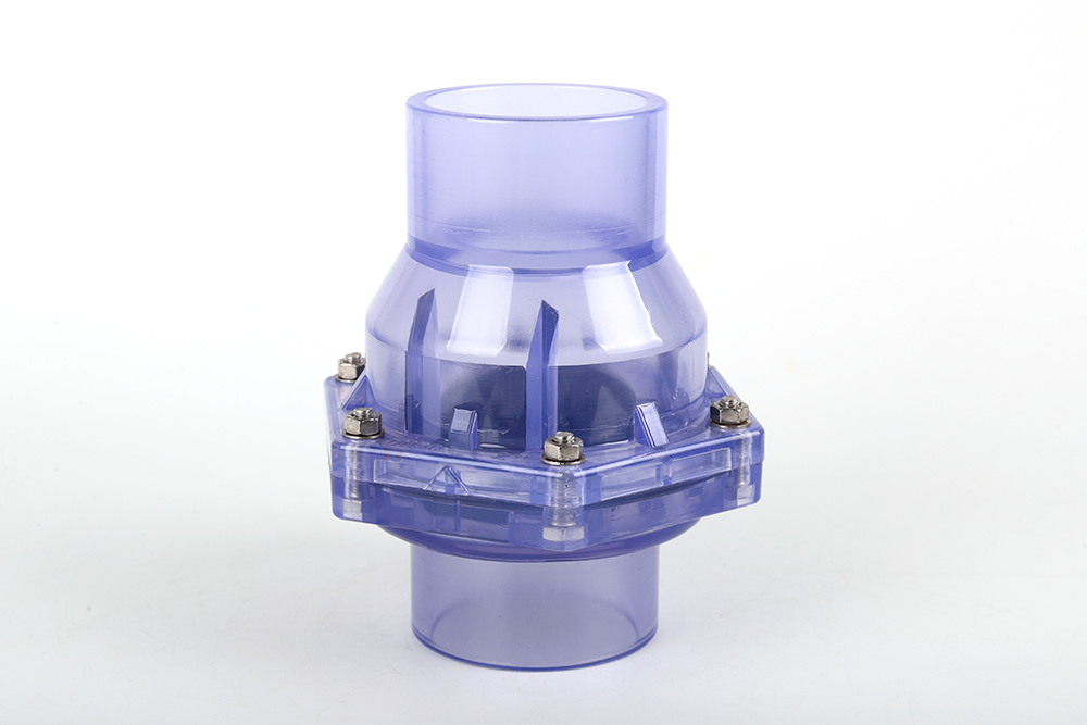 定远透明翻板式止回阀